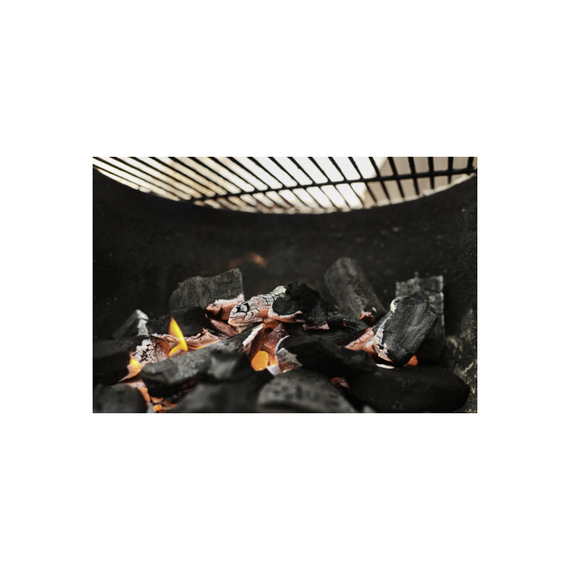 Big Green Egg Pure Charcoal – Premium Grillihiili